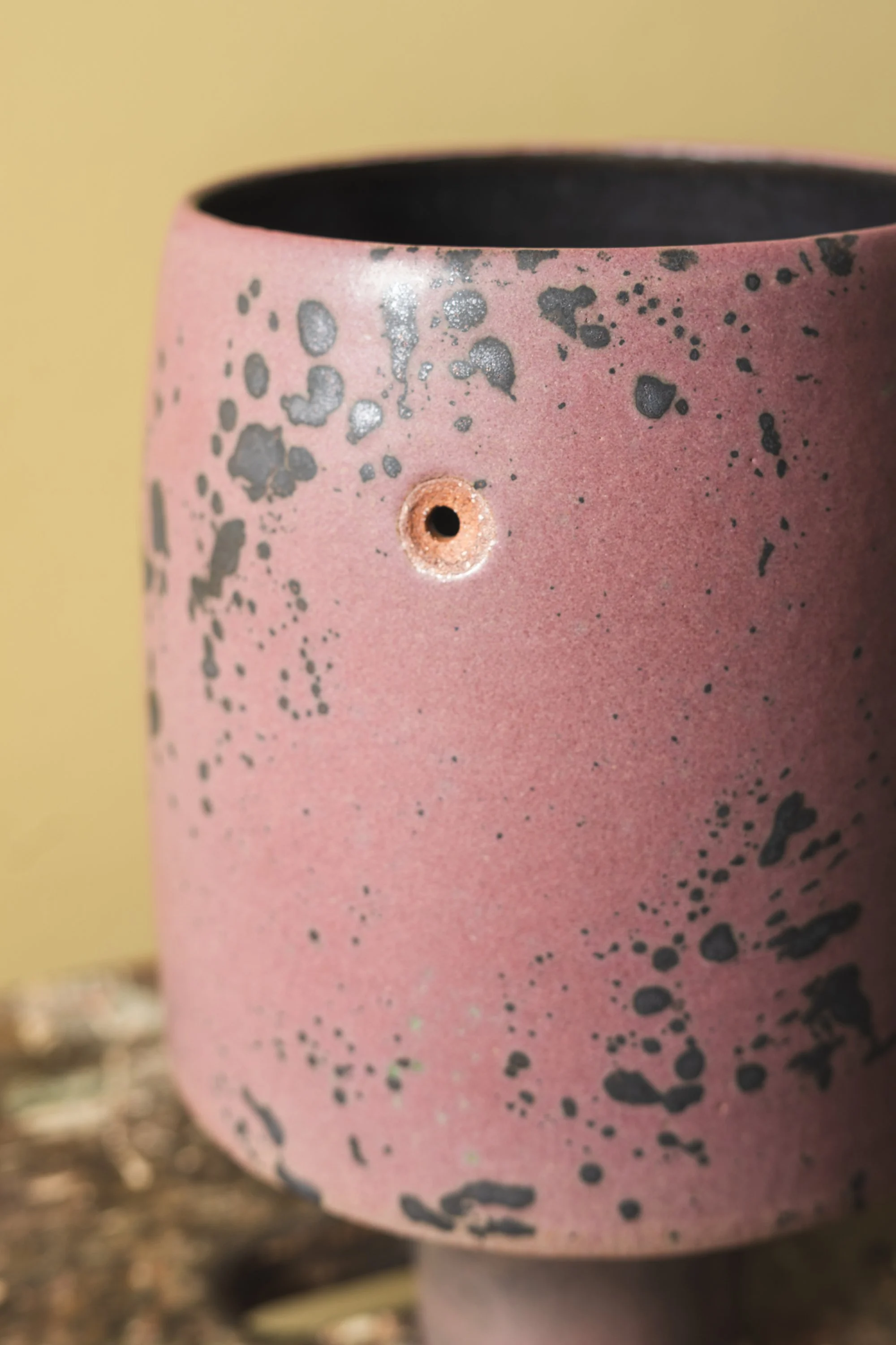 219-6.jpg
