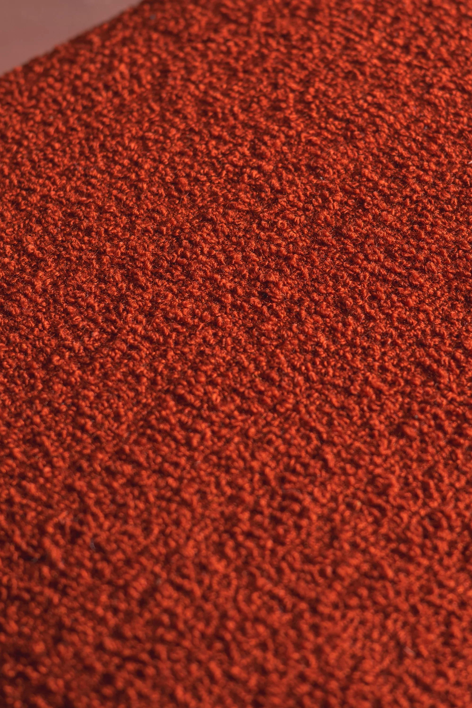 _STE0492.jpg