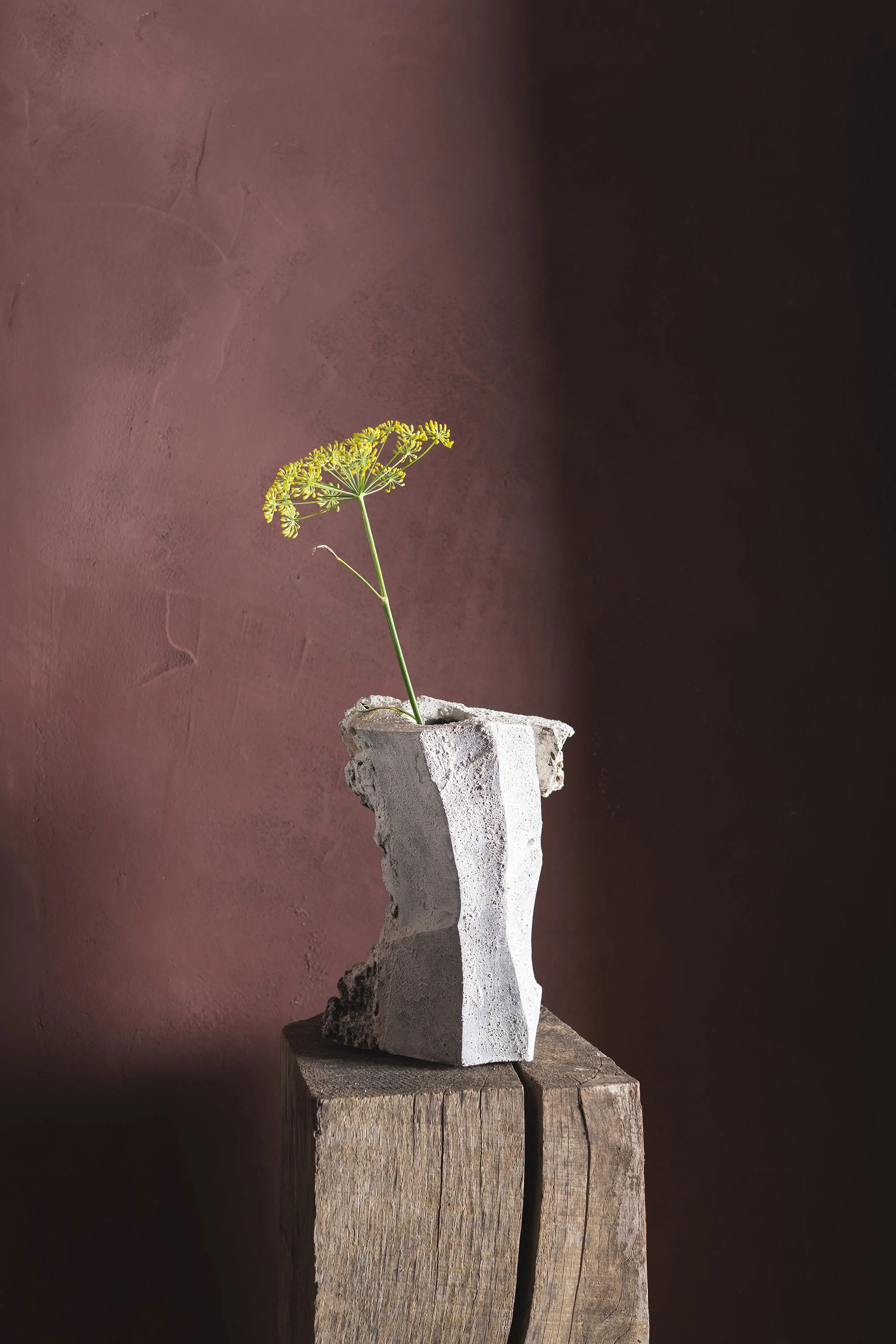 Glenn Dane Hollowed Bark Vase