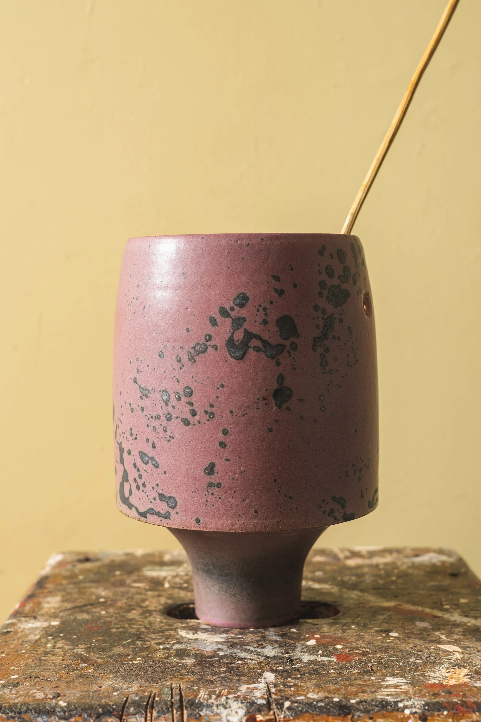 219-2.jpg