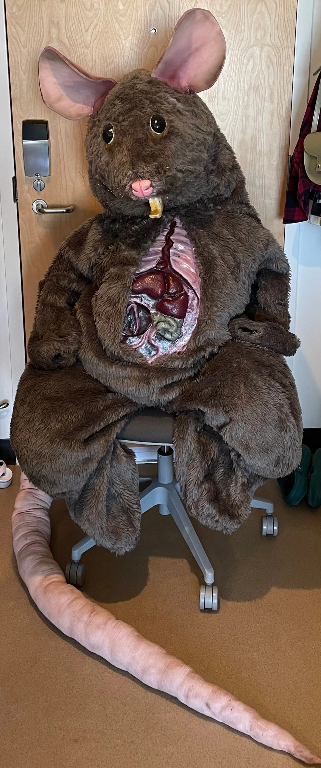 Rat - Stuffed Form | Polyester, Polymer Clay, Thermoplastic - Stuffing | Loose Assemblage | Theatre | Dir. Jack Mosher/Nico Pante