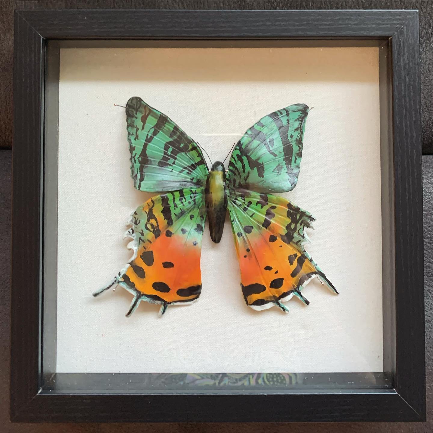 Hand-sculpted polymer clay - Madagascan sunset moth pinned in a taxidermy style 

#sculpture #art #polymerclay #madagascansunsetmoth #moth