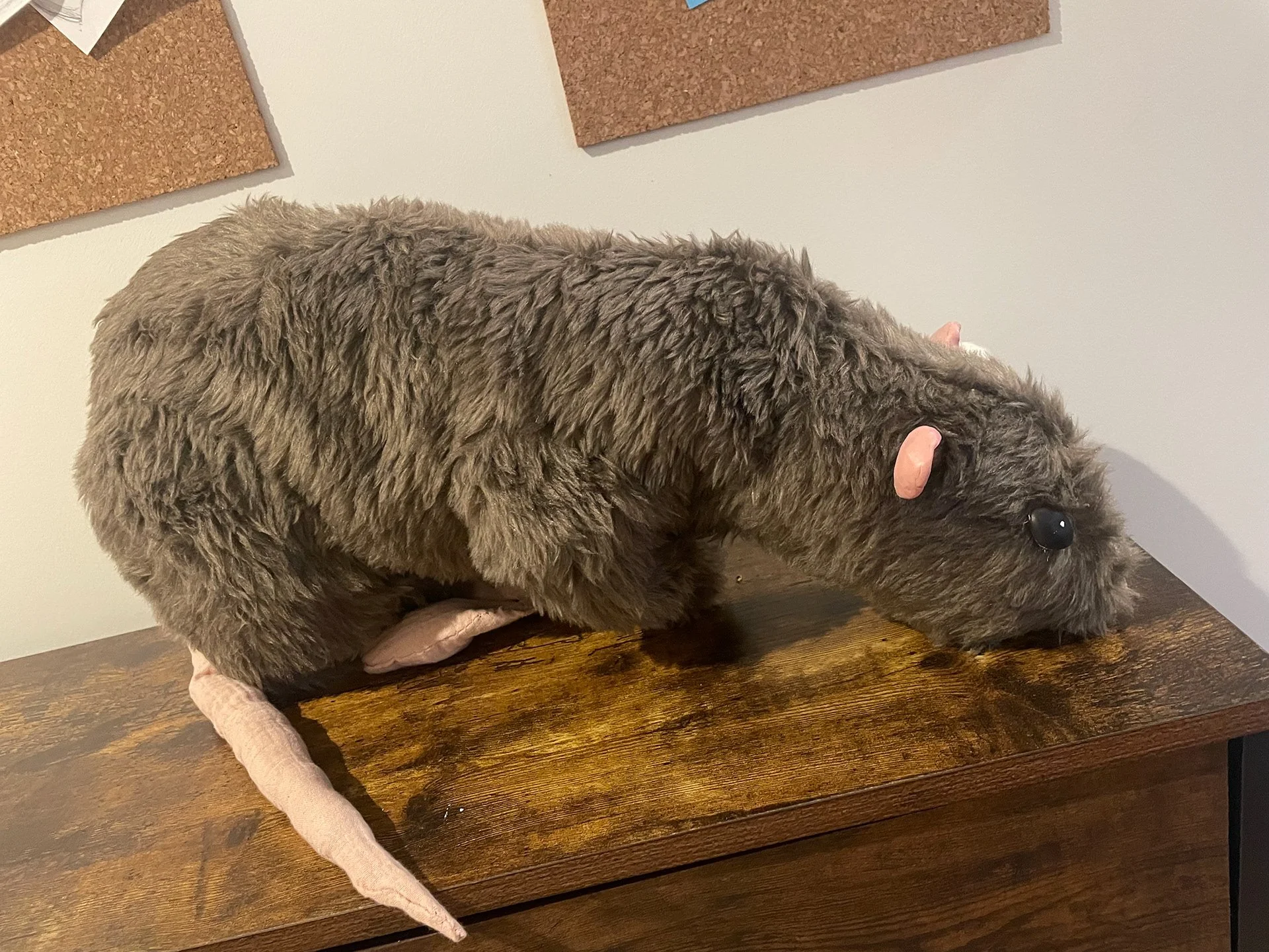 Baby Rat | Polyester, Polymer Clay | Loose Assemblage | Theatre | Dir. Jack Mosher/Nico Pante