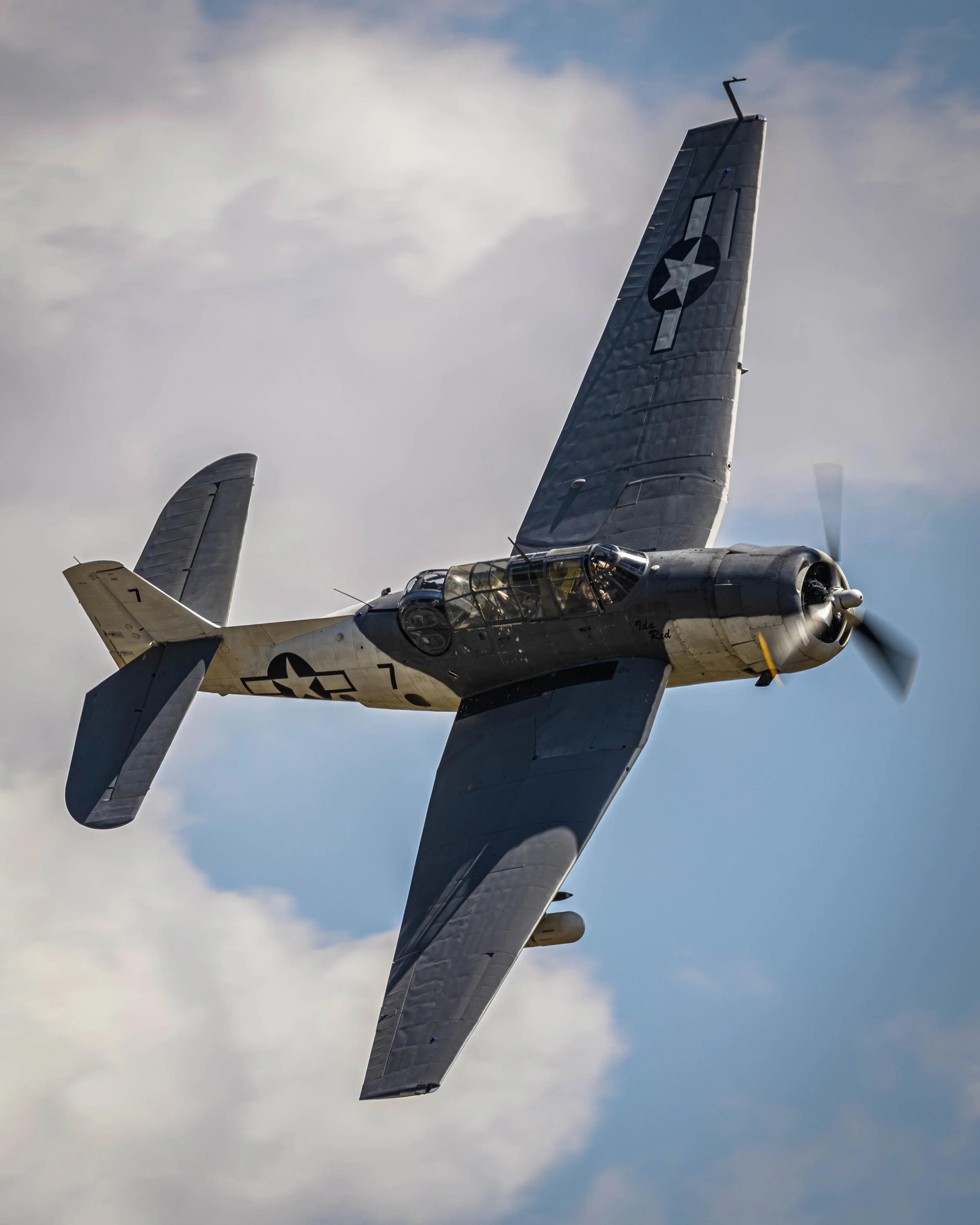 DSC_2197.jpg