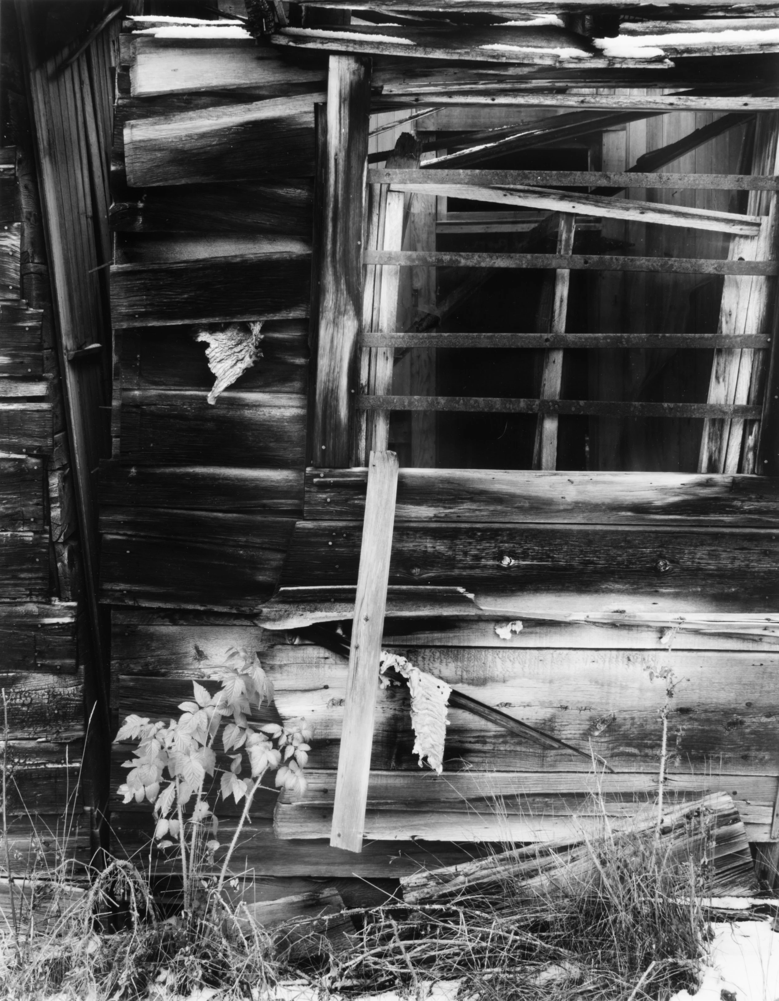 Abandoned Cabin, Granite, Montana