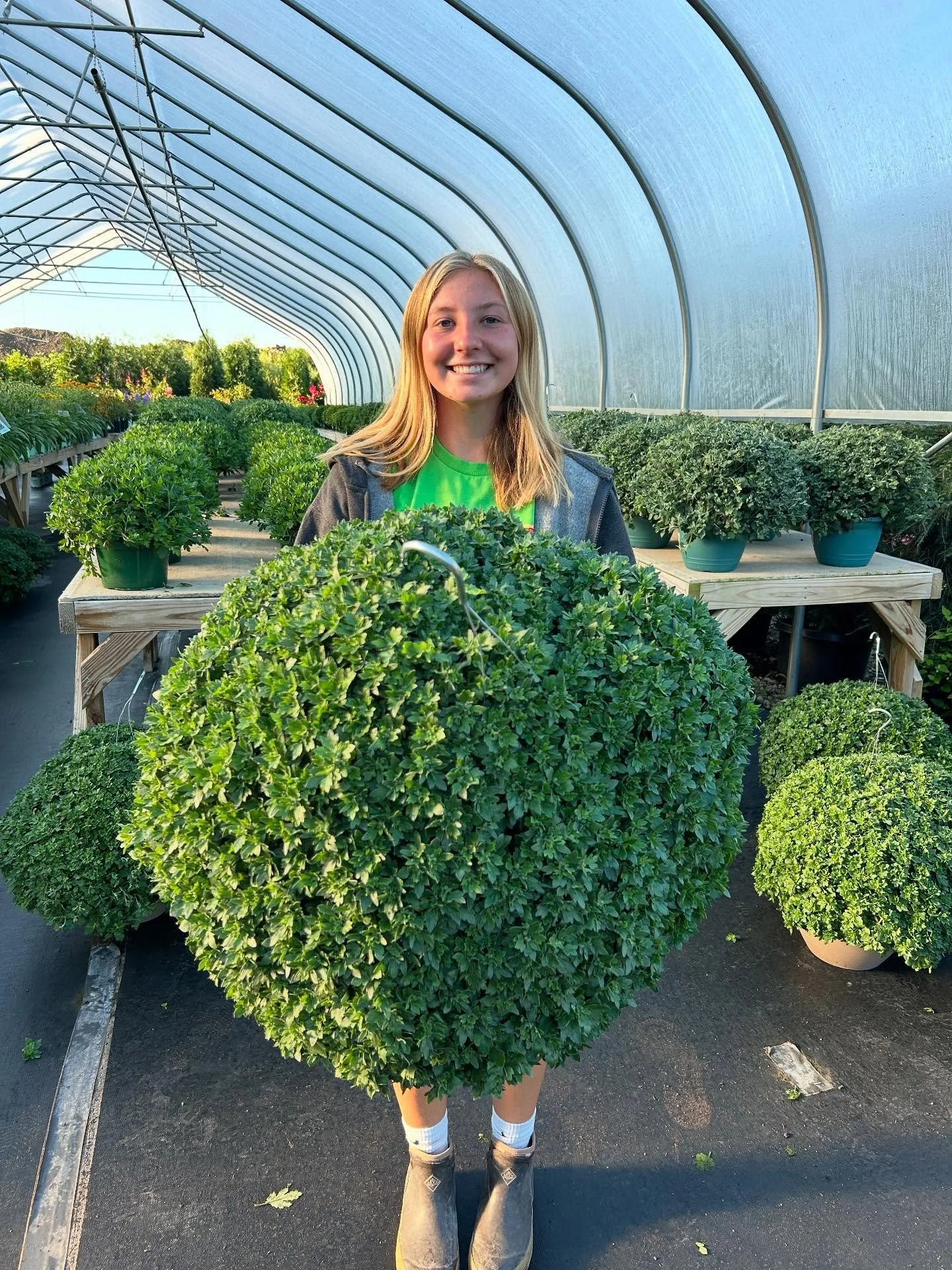 Who&rsquo;s ready for the biggest, baddest mums in the county? We know a place. #goodtimes

#mumstheword
#dirtroadnursery 
#resourceoverretail 
#letsgethorticultural 
#westfremontindiana