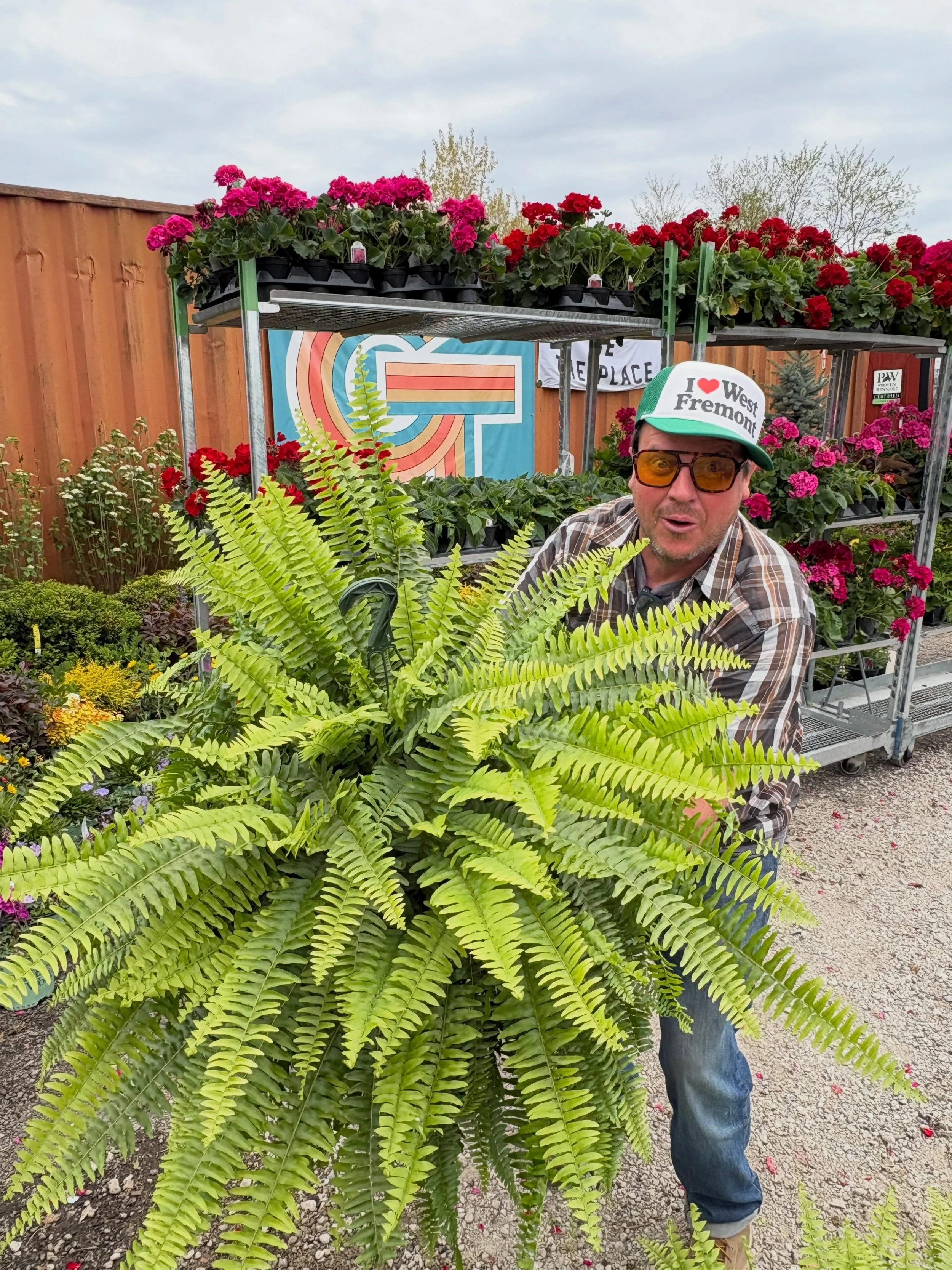 Funky fresh ferns. Annual color for days.
West Fremont is exactly where you need to be this weekend. 🌿🌸✌️
Come get your flower fix. #goodtimes

#dirtroadnursery 
#resourceoverretail 
#letsgethorticultural 
#westfremontisforplantlovers 
westfremonti