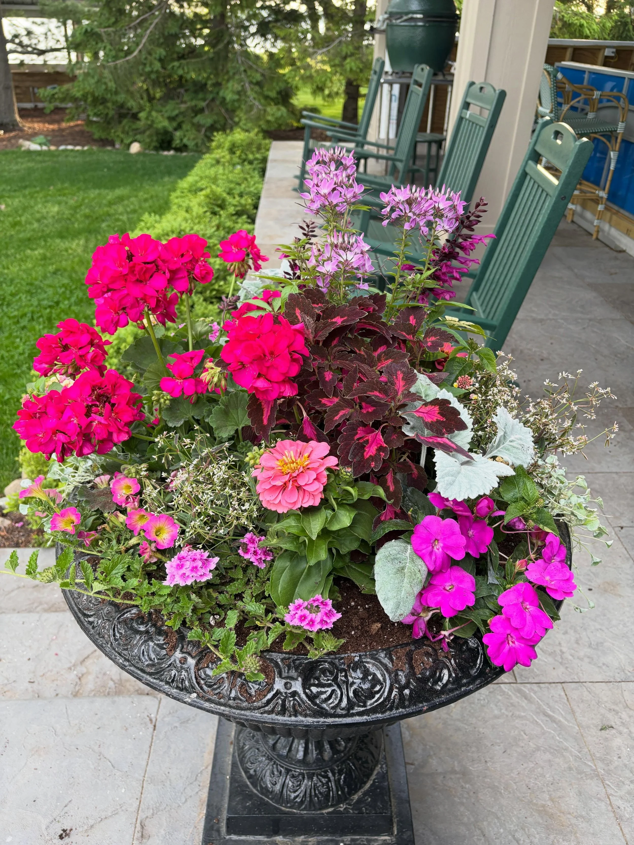 The magic of West Fremont. You&rsquo;re welcome to as much of it as you can carry. #goodtimes

#petalpainters
#dirtroadnursery 
#westfremontisforplantlovers 
#letsgethorticultural