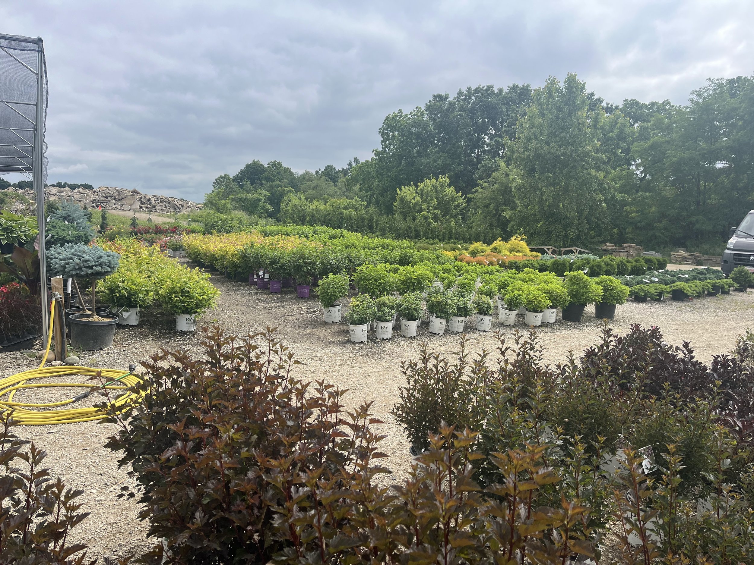 How to Create an Eco-Friendly Garden