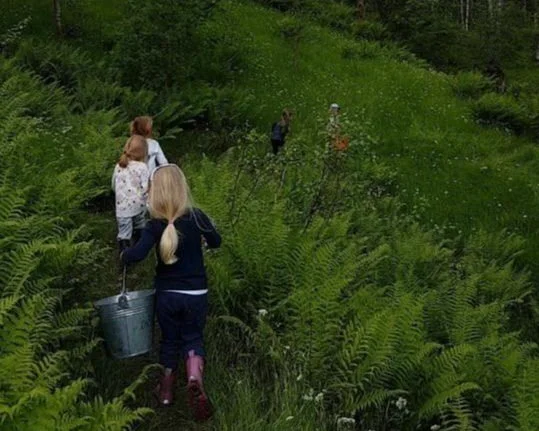 Barnehagebarn på tur i naturen ved Ospekleiva 