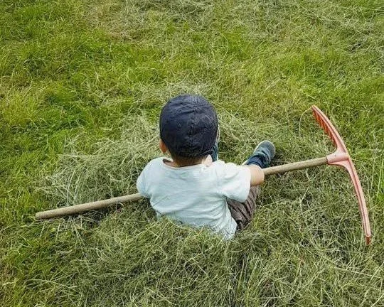 Barnehagebarn som er med på gårdsdriften i Aadland gards- og friluftsbarnehage