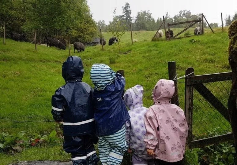 Barnehagebarn sammen med dyrene i Aadland gards- og friluftsbarnehage