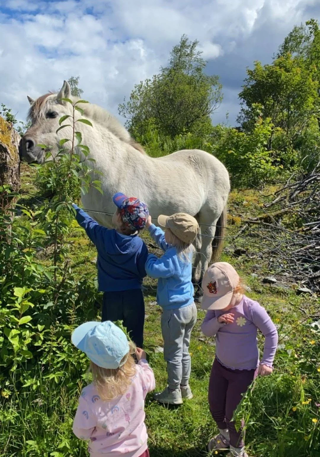 Barnehagebarn som koser med hesten vår på garden i Aadland gards- og friluftsbarnehage