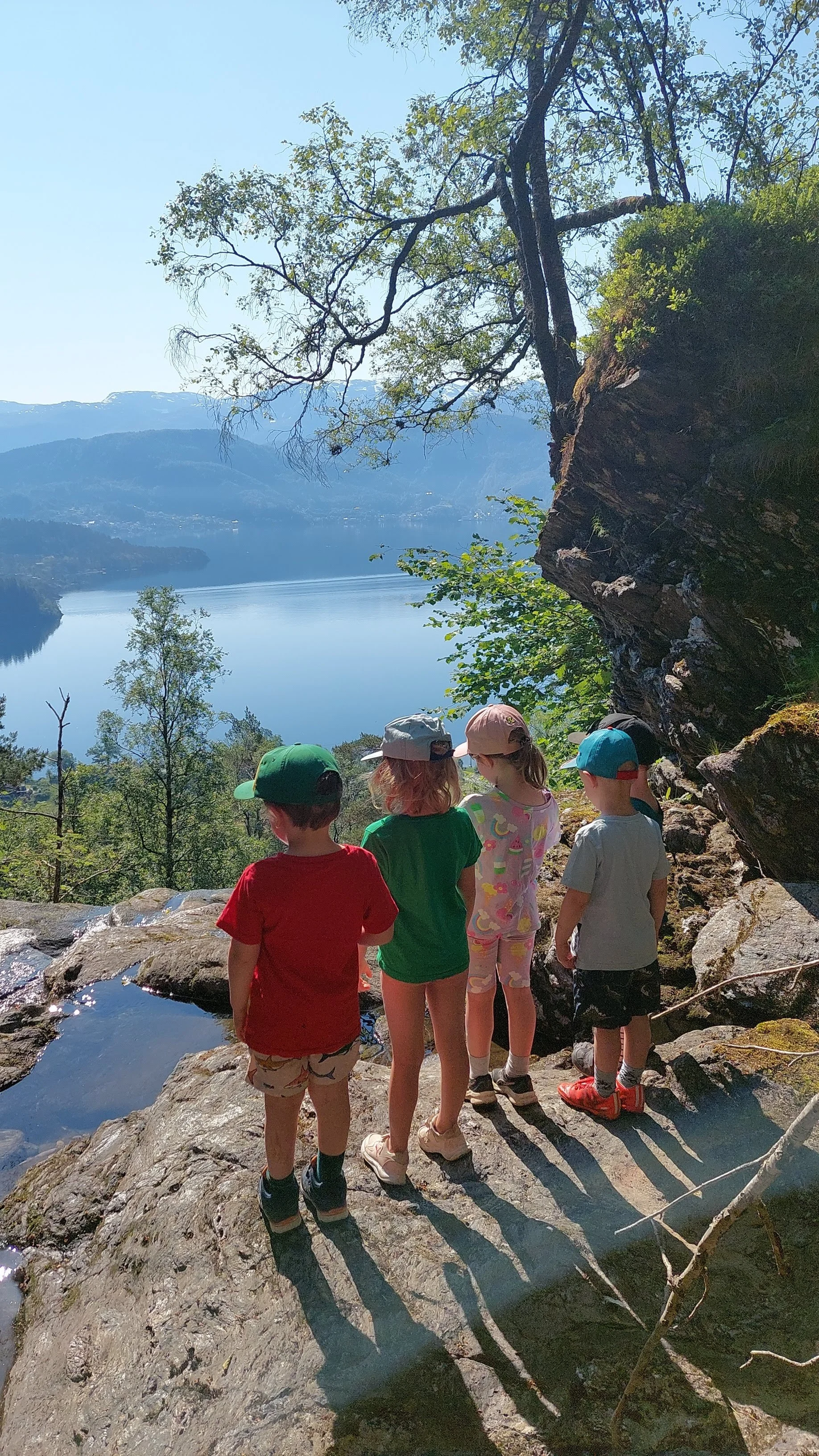 Barnehagebarn på tur i naturen rundt Aadland gards- og friluftsbarnehage om sommeren