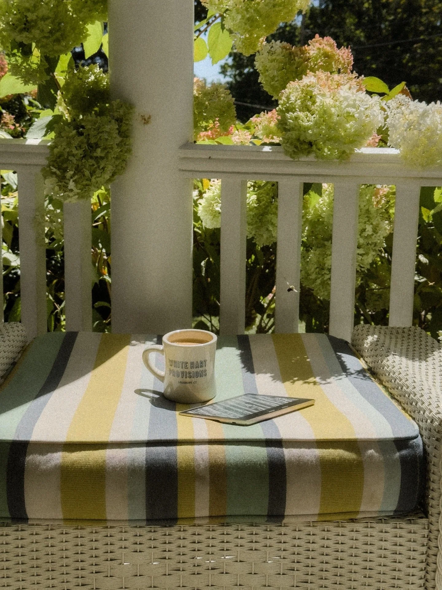 *Provisions* secured: ☕️🍃📖

There&rsquo;s something about The White Hart Inn that always gets me. Nestled just across the MA/CT border in Salisbury, it&rsquo;s the kind of place that instantly slows you down.

Every corner has its own quiet charm -