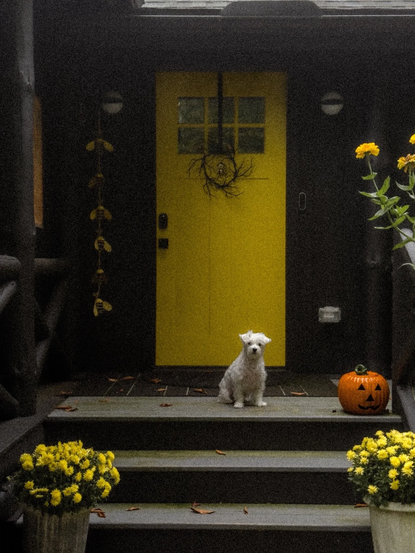 had ourselves a halloweekend 🎃 #theberkshires #halloweekend