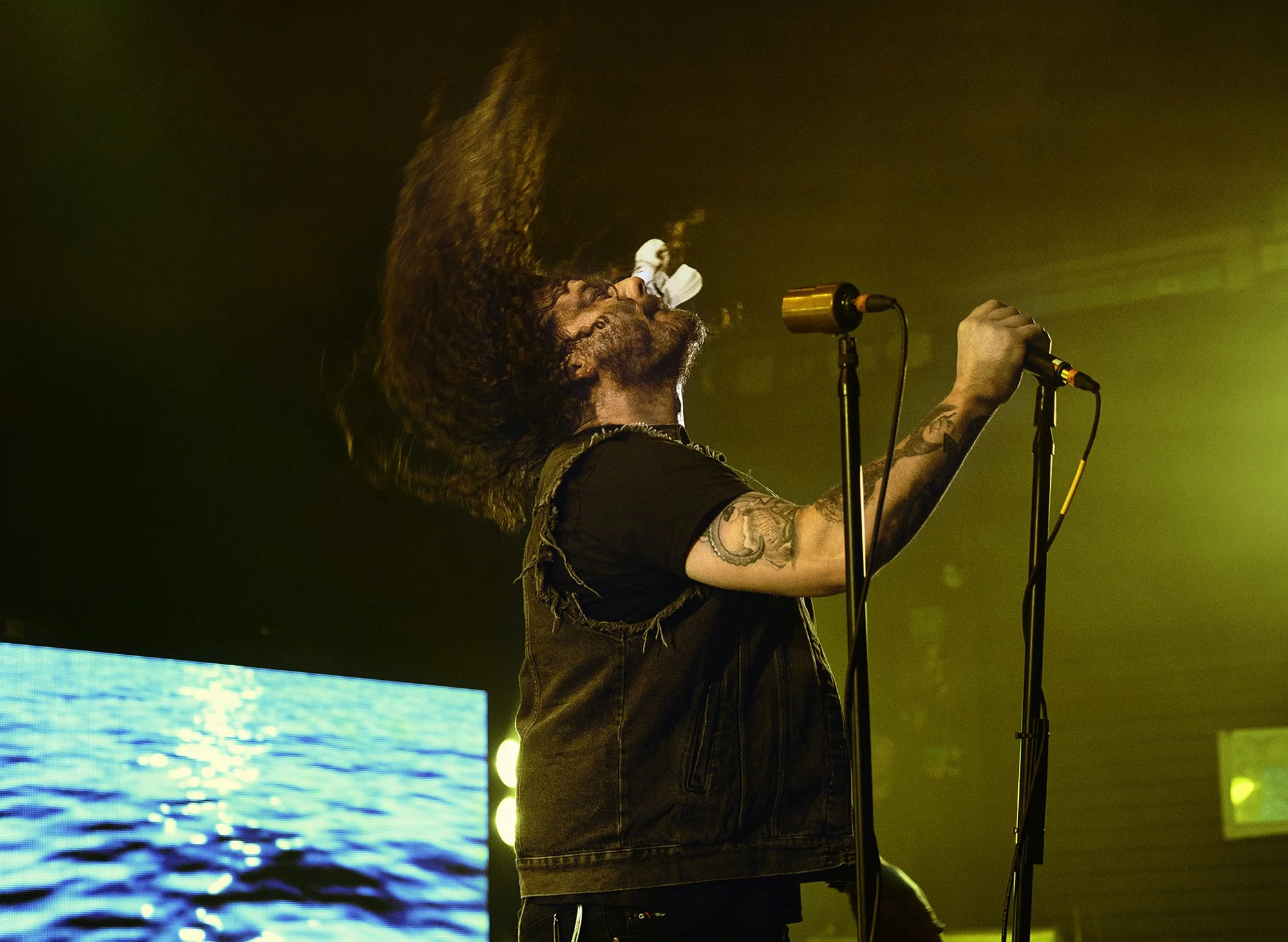 LIVE MUSIC PORTFOLIO