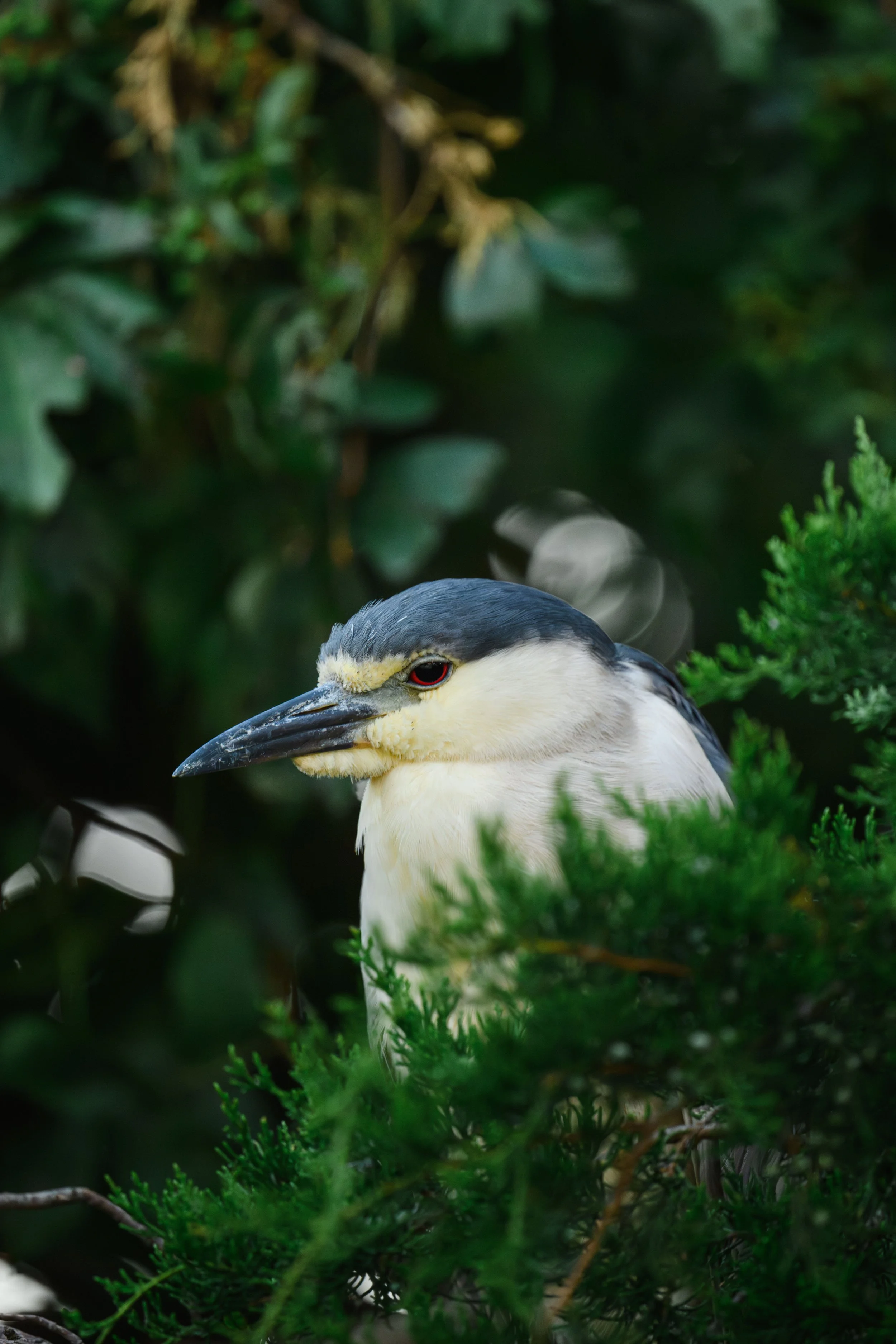 _DSC0453 copy(w).jpg