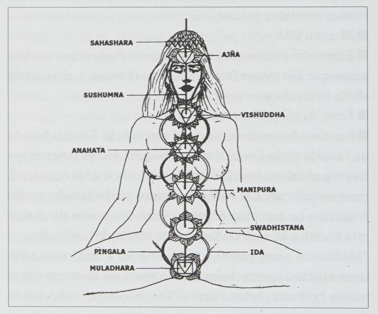 Diagram of a woman with labels indicating different chakras along her body, including Sahashara, Ajna, Sushumna, Vishuddha, Anahata, Manipura, Swadhisthana, Pingala, Muladhara, and Ida.