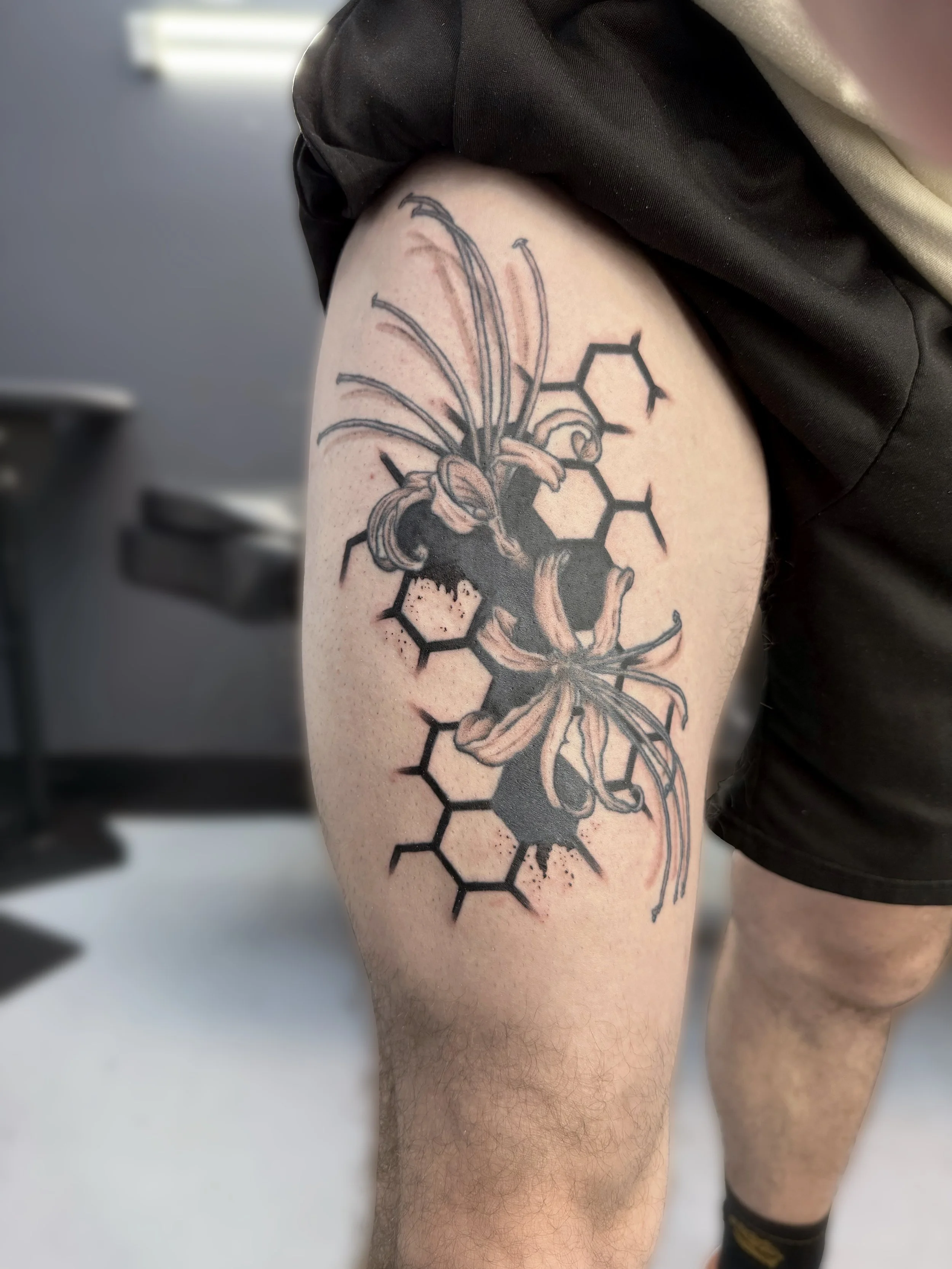 Spider Lily and Honeycomb.JPG