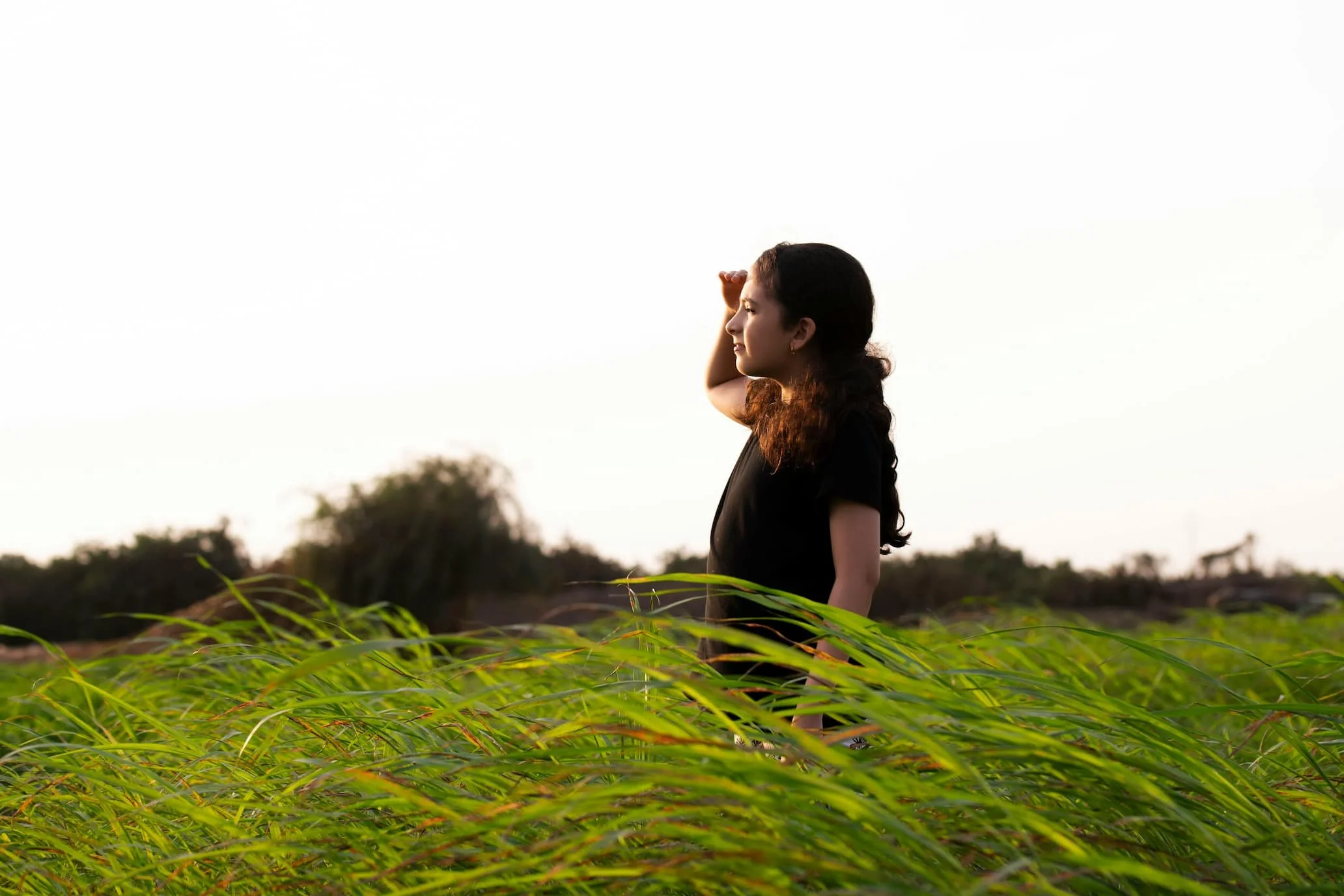 La serenidad de avanzar sin prisa 🍃🕰️