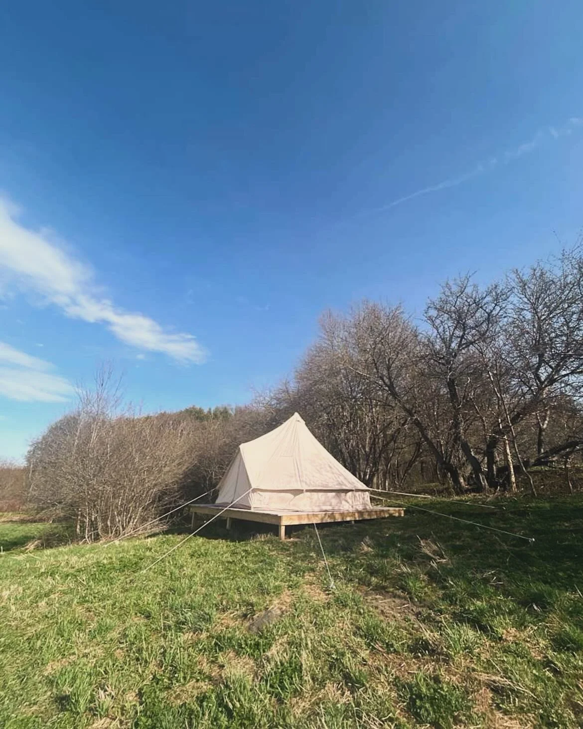 Orchard Camp