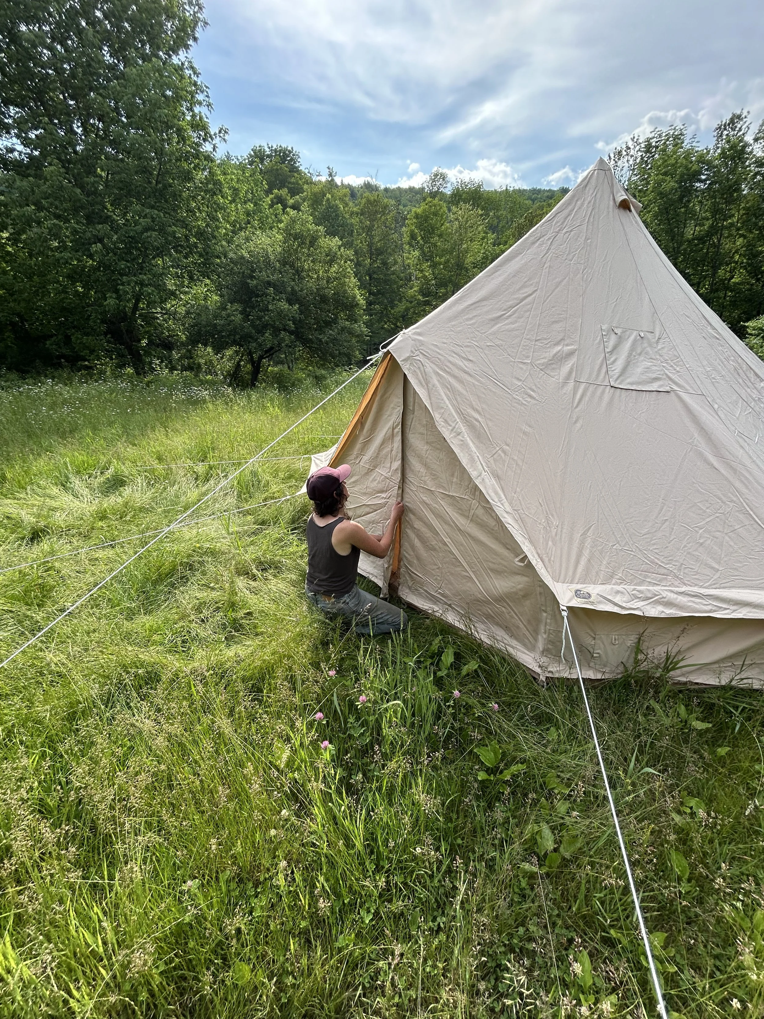 Lower Camp