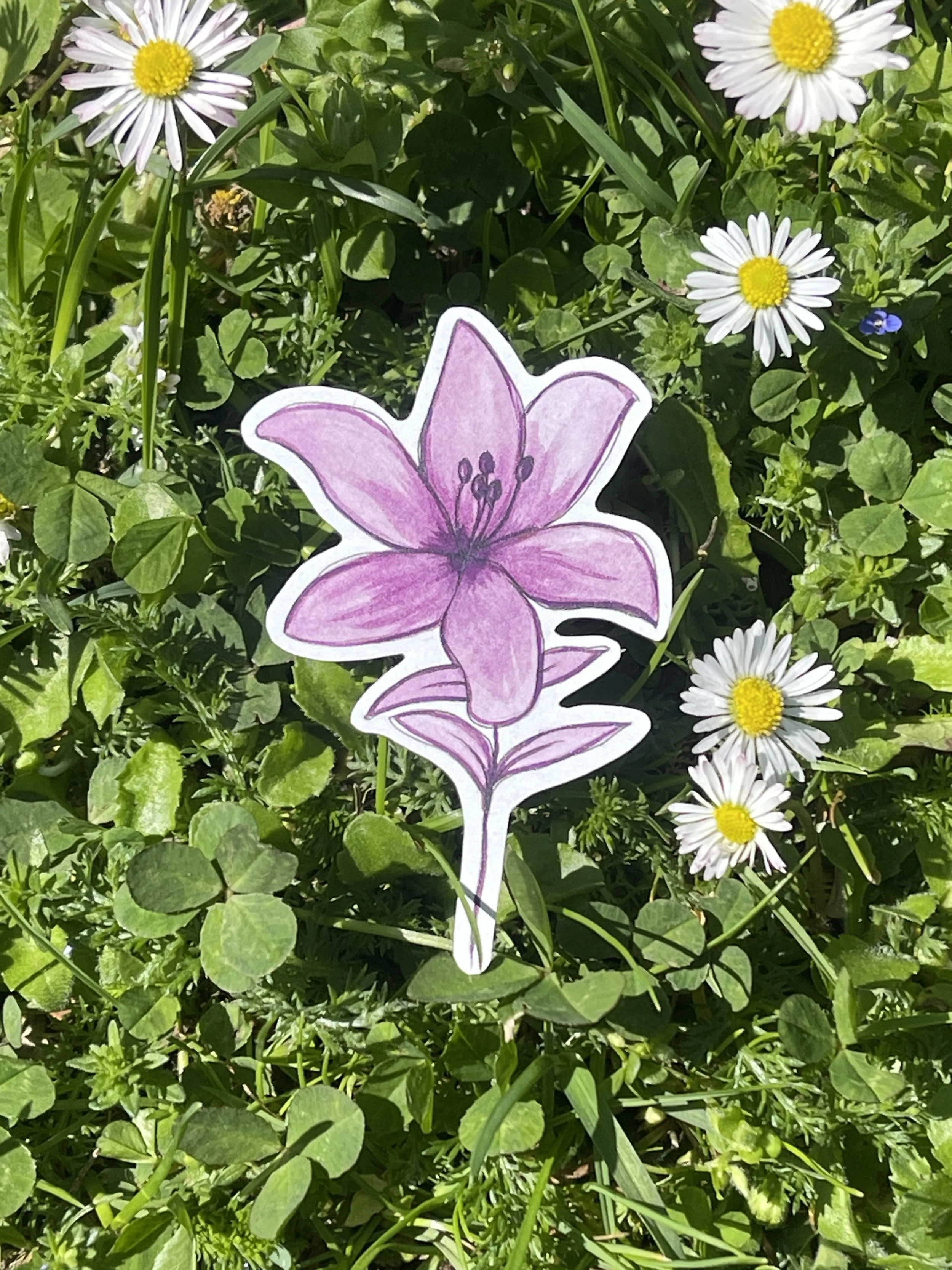 Sticker "Lilie"