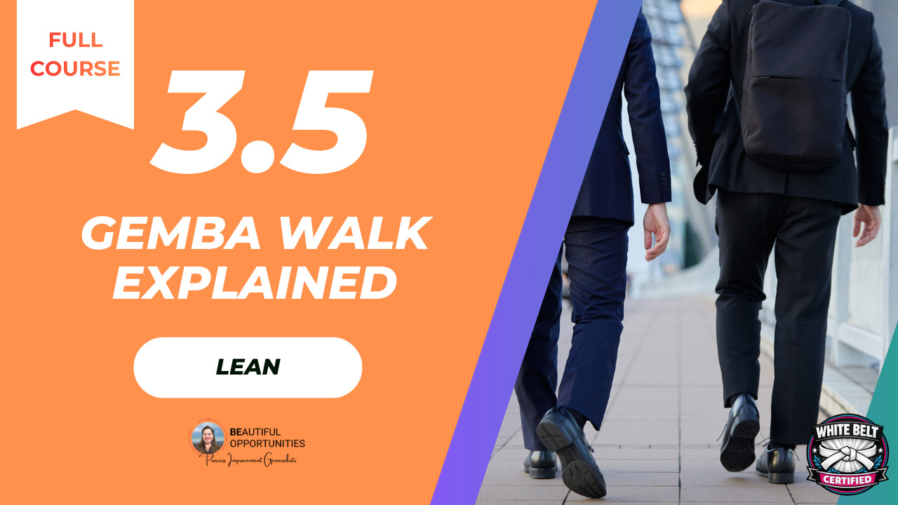 3.5 Activity 1 - The Gemba Walk