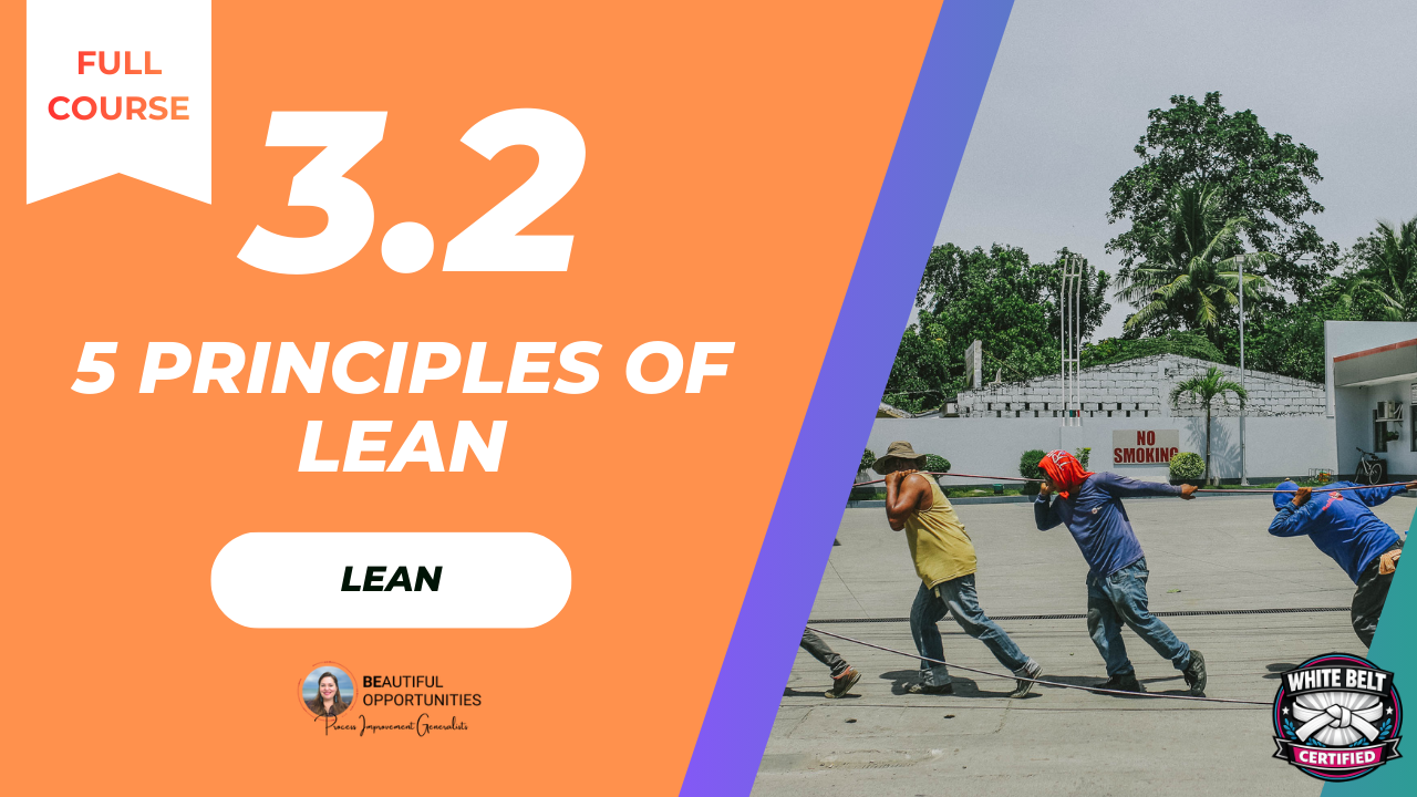 3.2 The 5 Principles of Lean