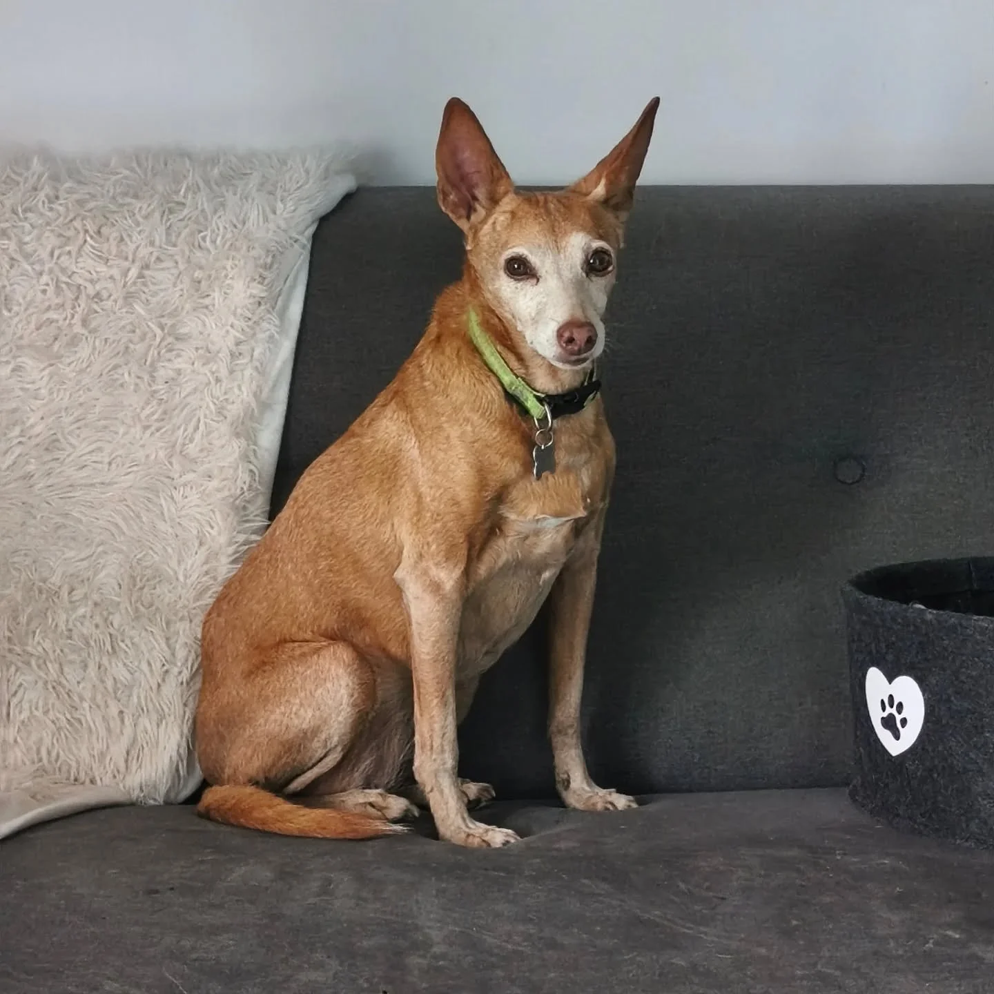672994737_17924391246337067_520364648593532015_n.jpeg