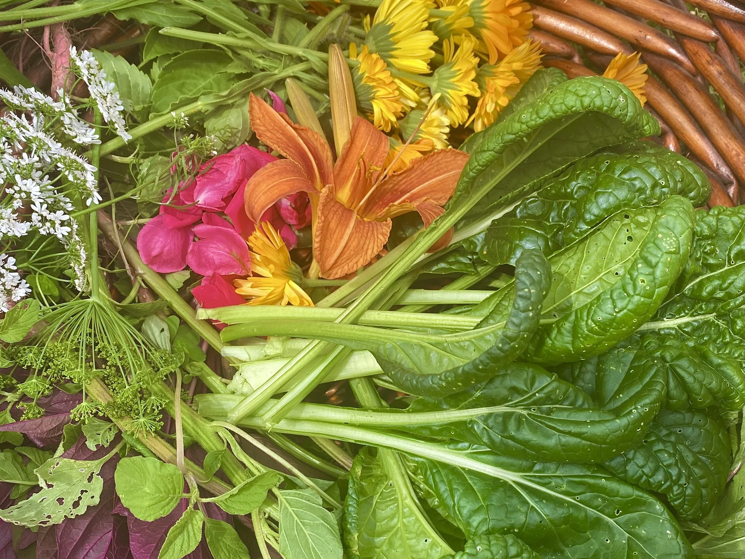 Food Healing & Nutrition