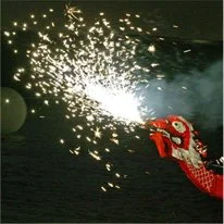 tete dragon.jpg