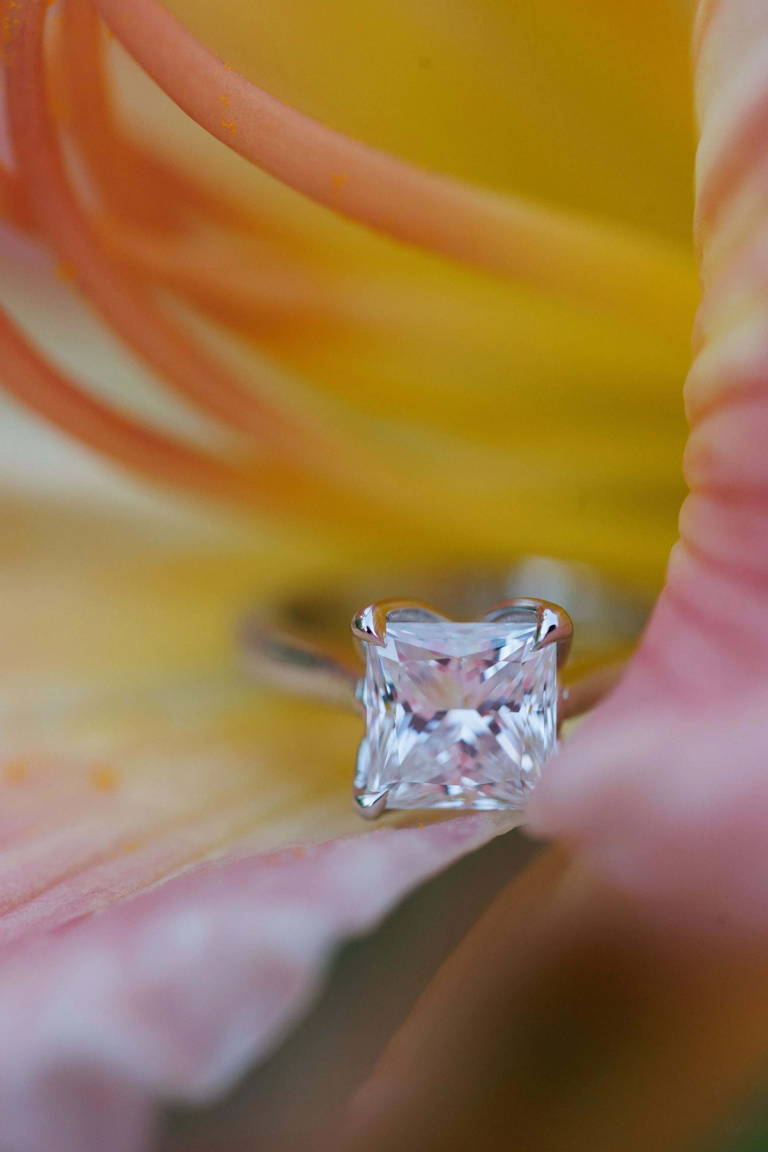 Shelburne-Farms-Proposal Melissa Lynn Images33.jpg