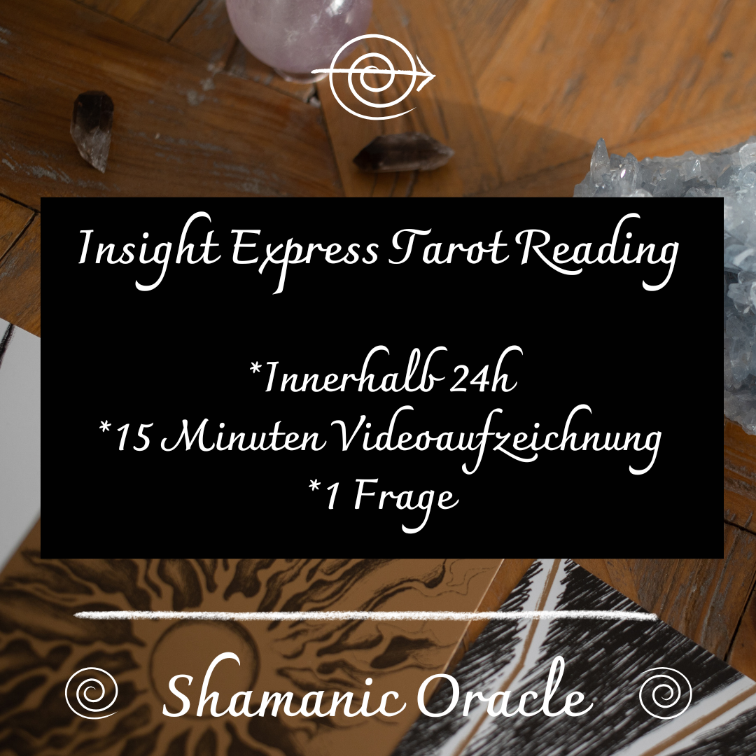 ✦ The Insight Express – 1 Frage = Klare Antwort in 15 Minuten
