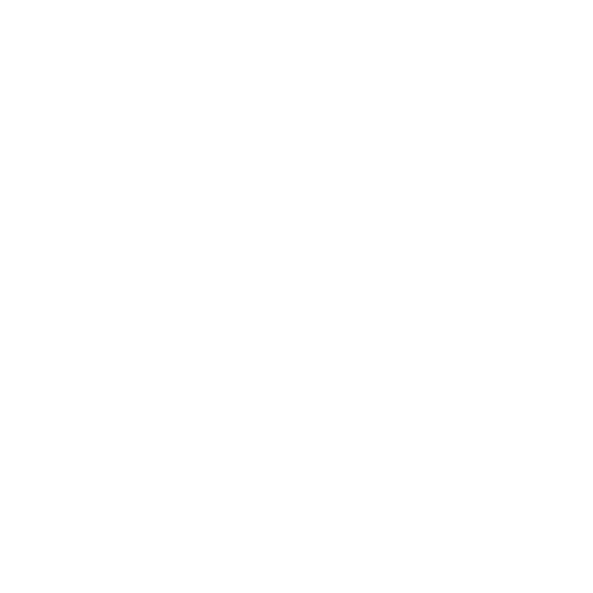 MPM kinésiologue