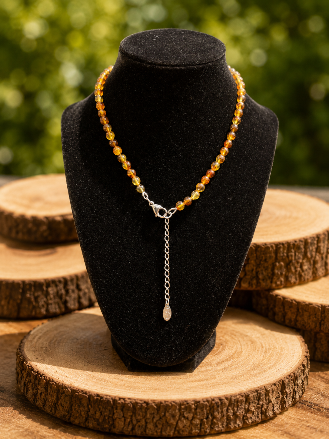 Amber Necklace Extender.png