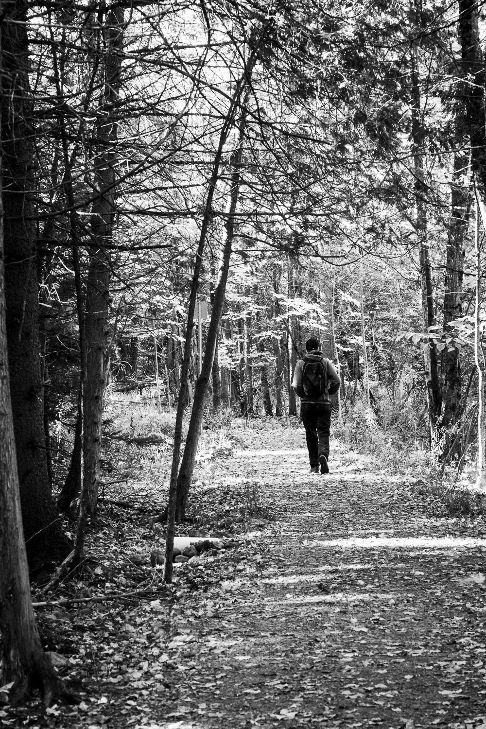 Sherbrooke-20.jpg