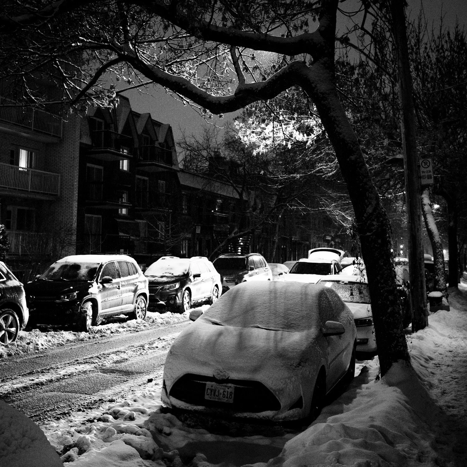 Montréal-26.jpg