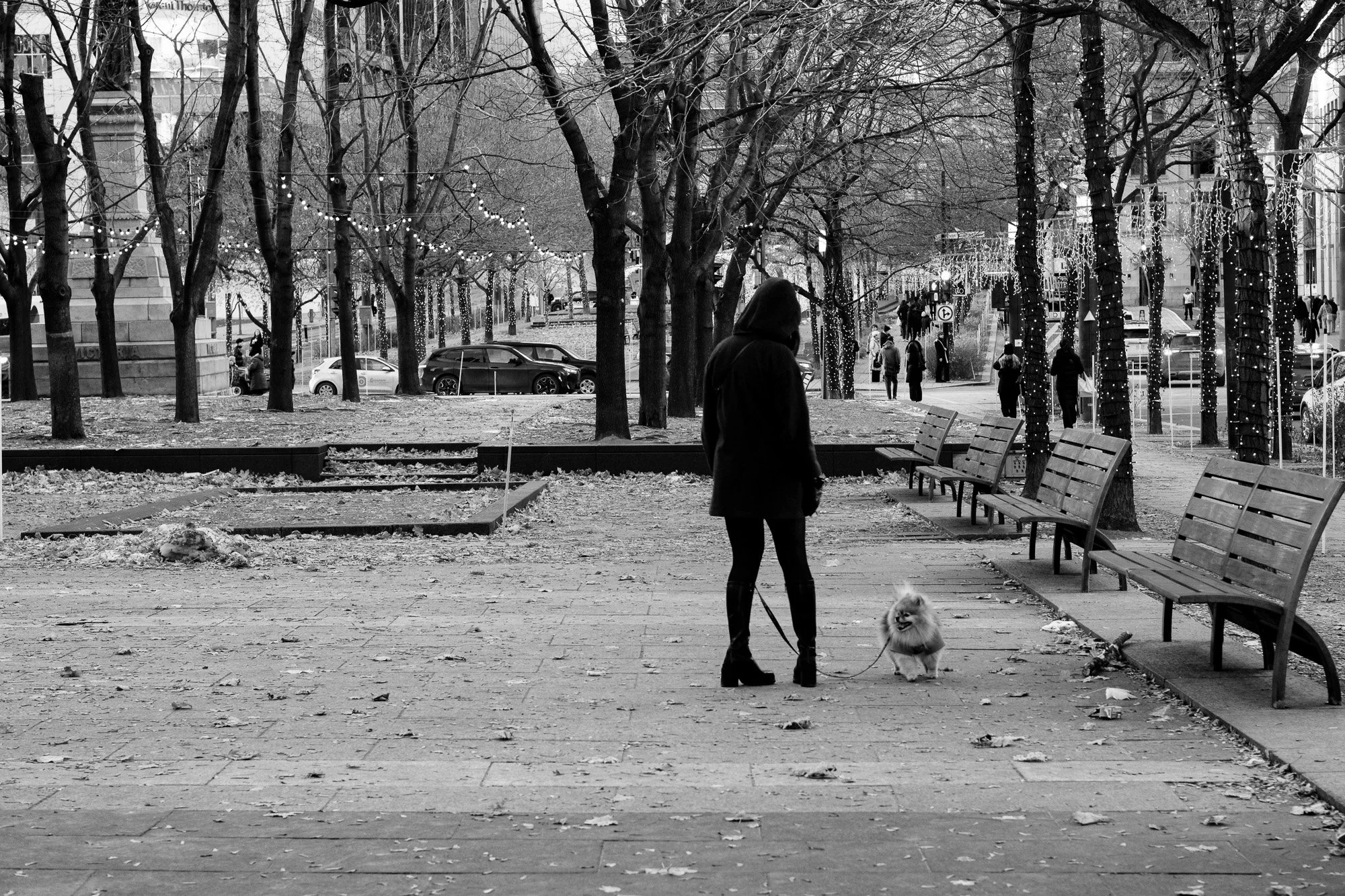 Montréal-21.jpg