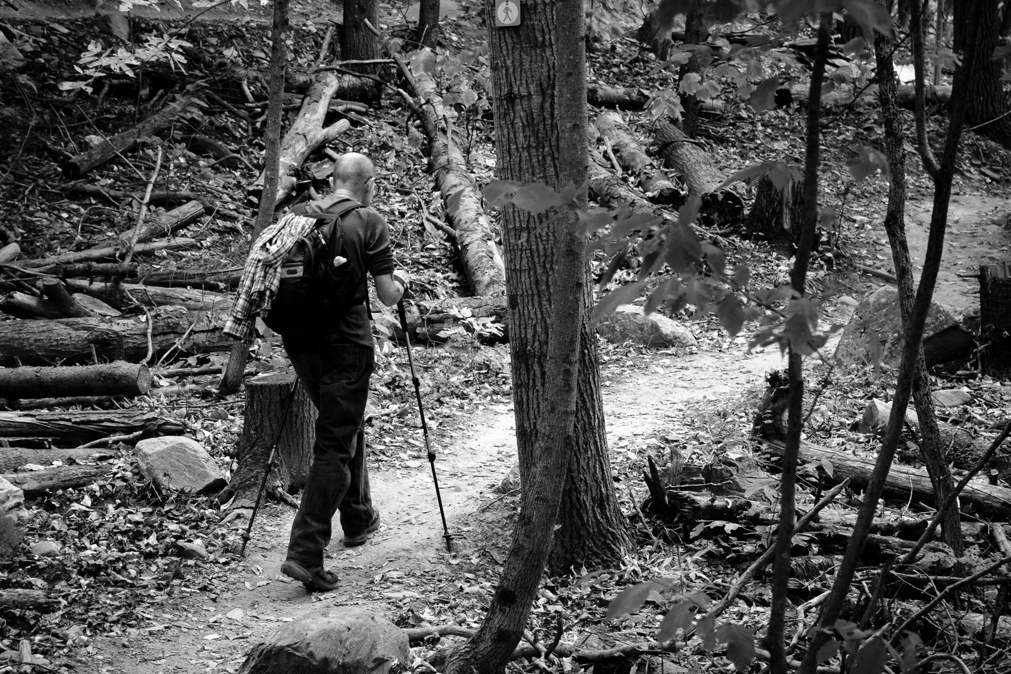 Sherbrooke-19.jpg