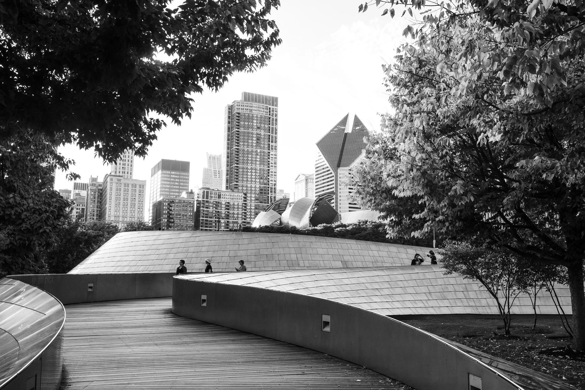 Chicago-14.jpg