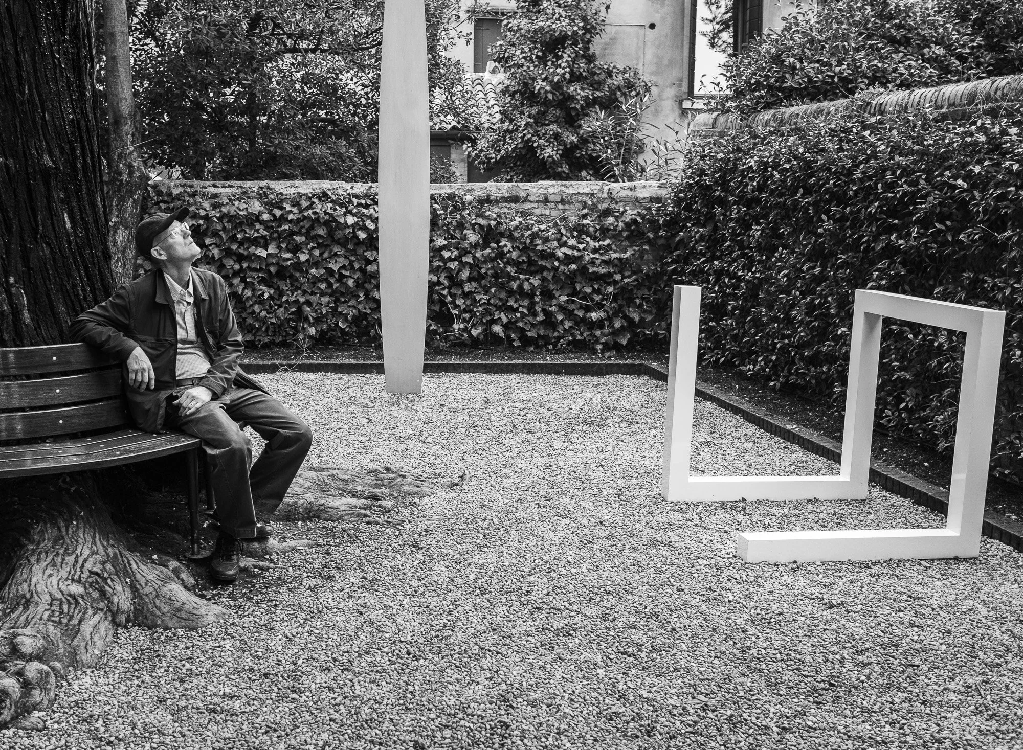 Un homme âgé assis sur un banc sous un arbre dans un jardin urbain, regardant vers le haut, avec des buissons et un mur en pierre en arrière-plan, en noir et blanc.