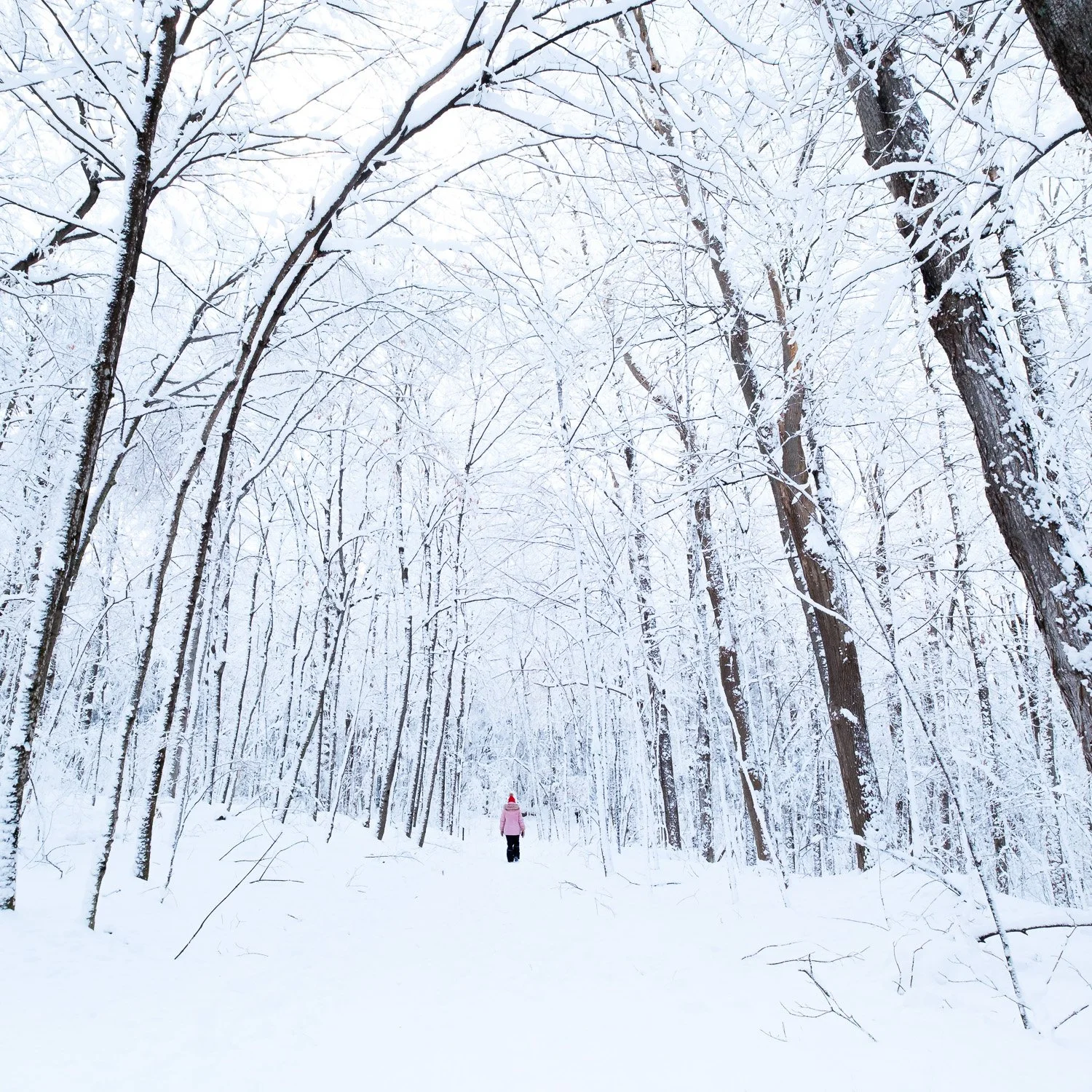 Sherbrooke-12.jpg