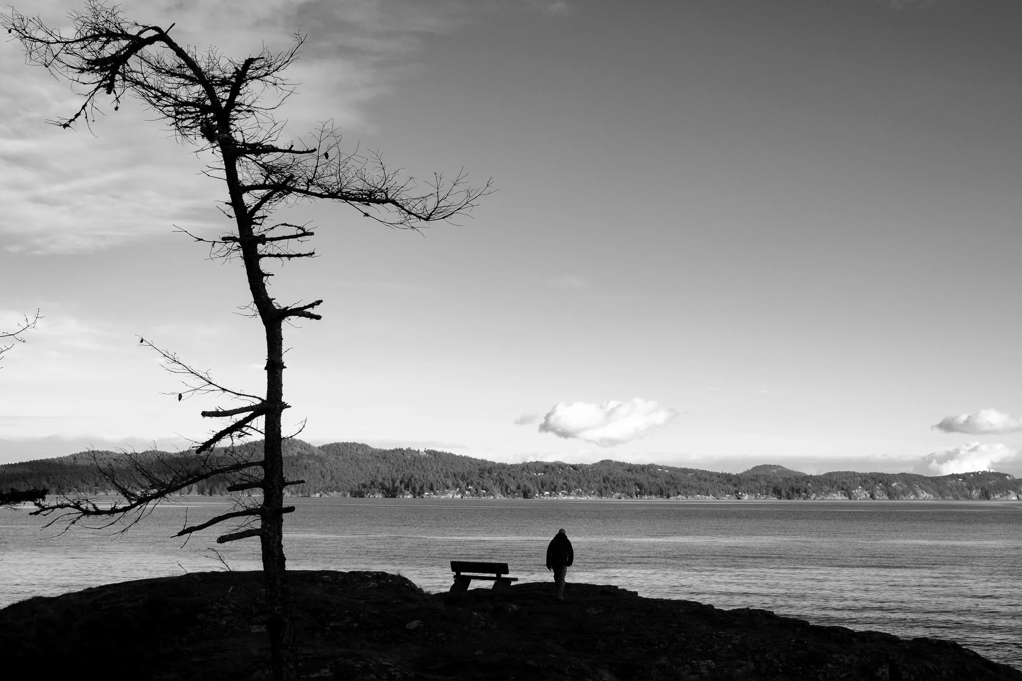 Ouest canadien-29.jpg