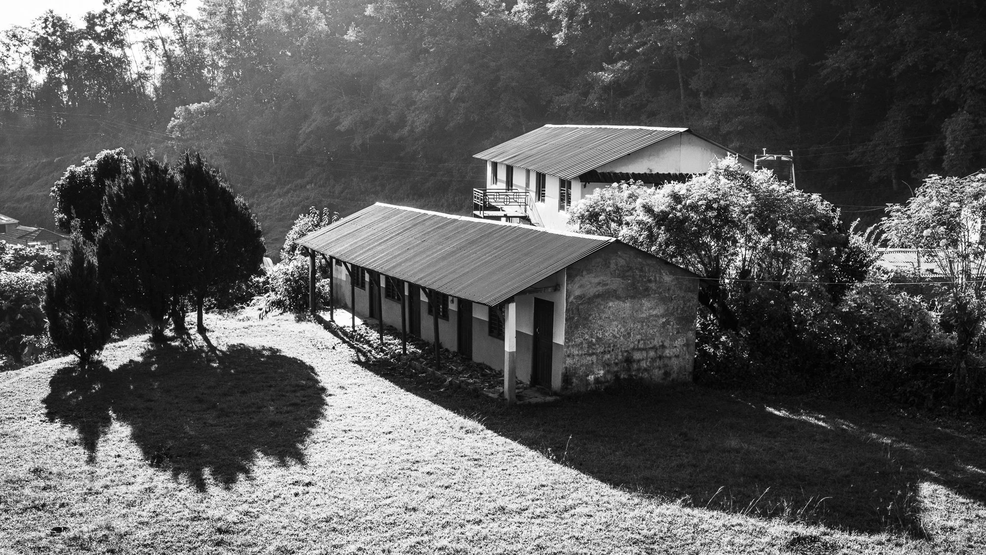 Maisons simples avec toits en métal, entourées d'arbres et d'une pelouse, dans un paysage de collines boisées.