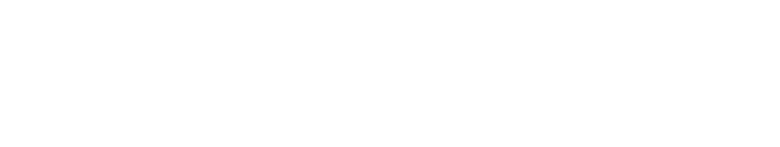 The word 'DETAiLZ' in stylized white text with a black background.