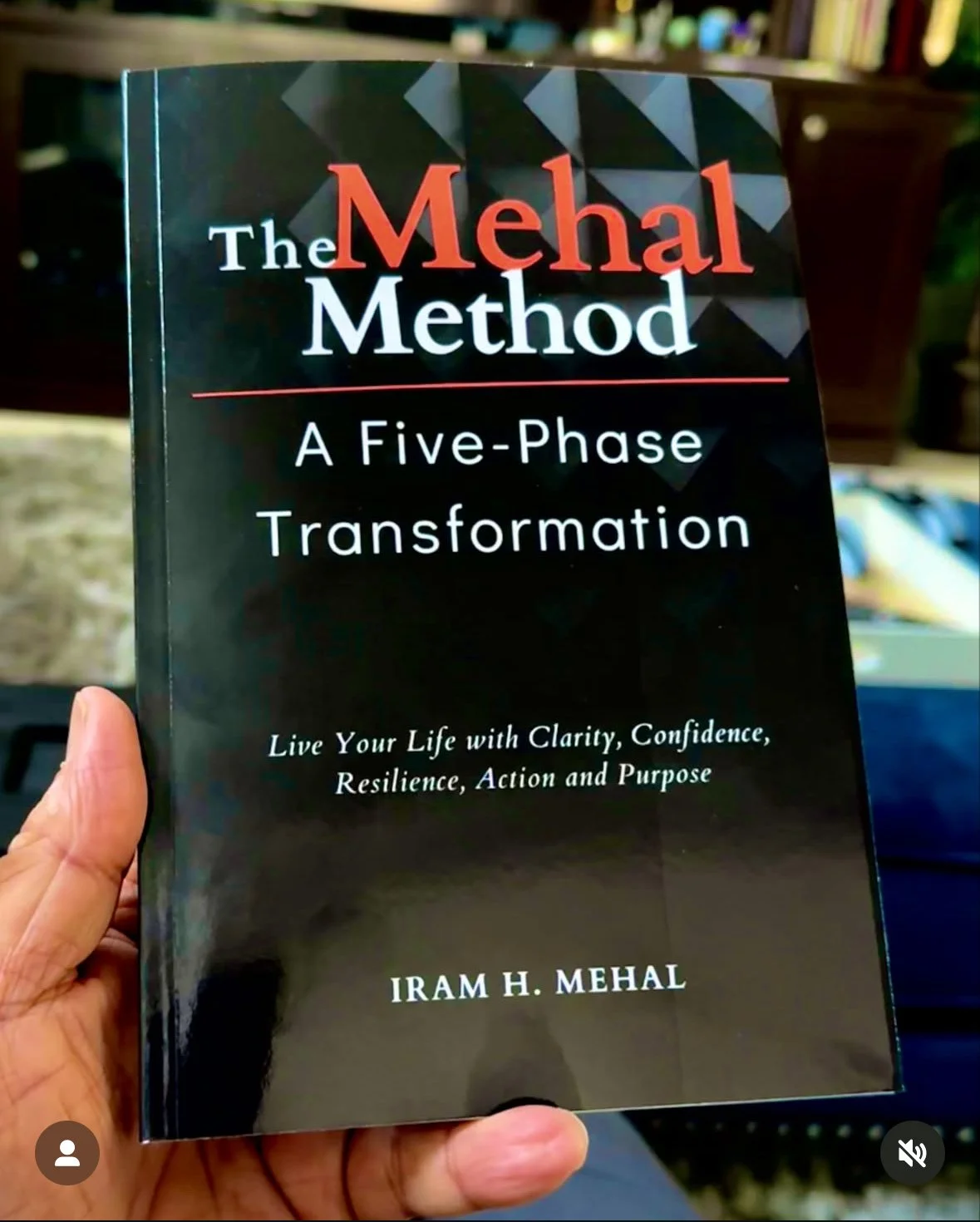 The Mehal Method Launch Instagram Review.jpg