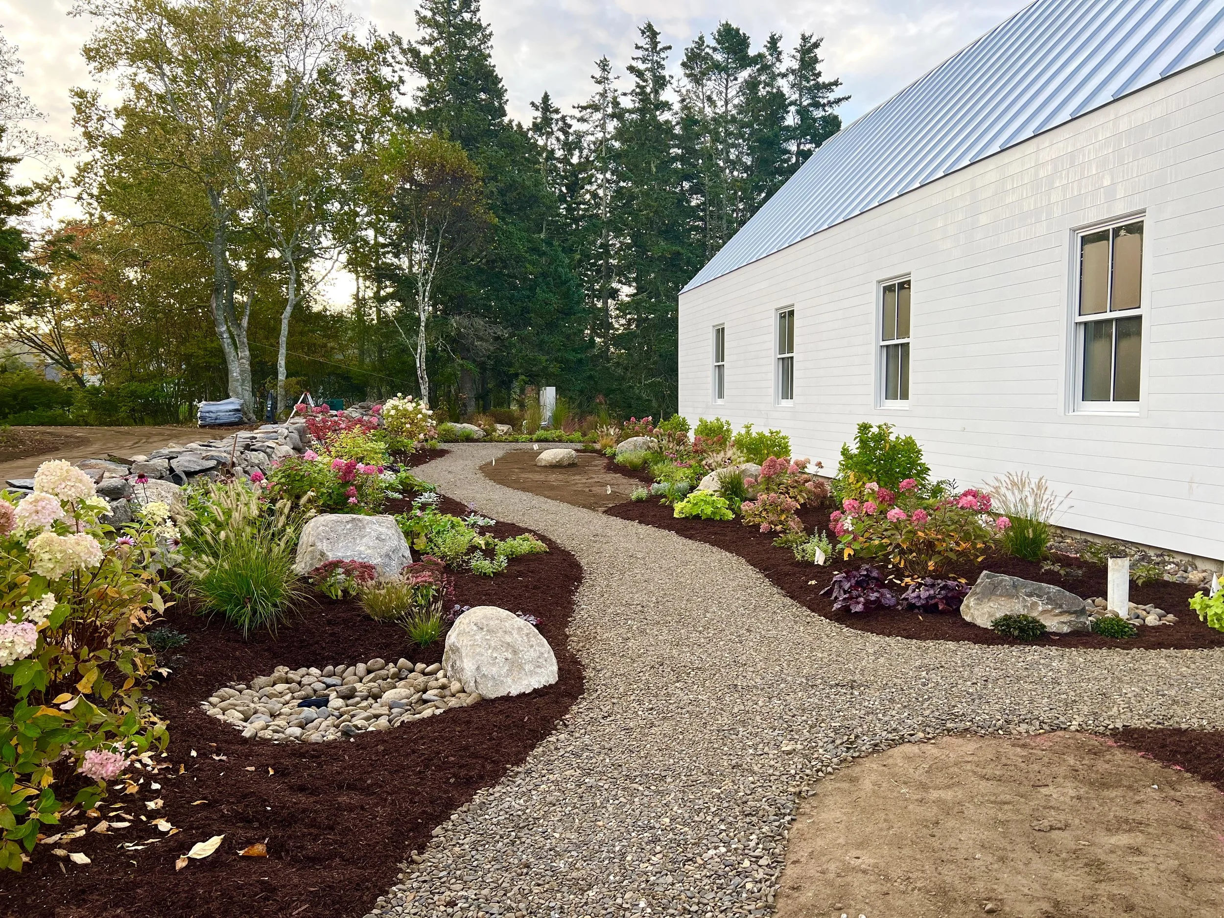 Mosquito Head Landscape