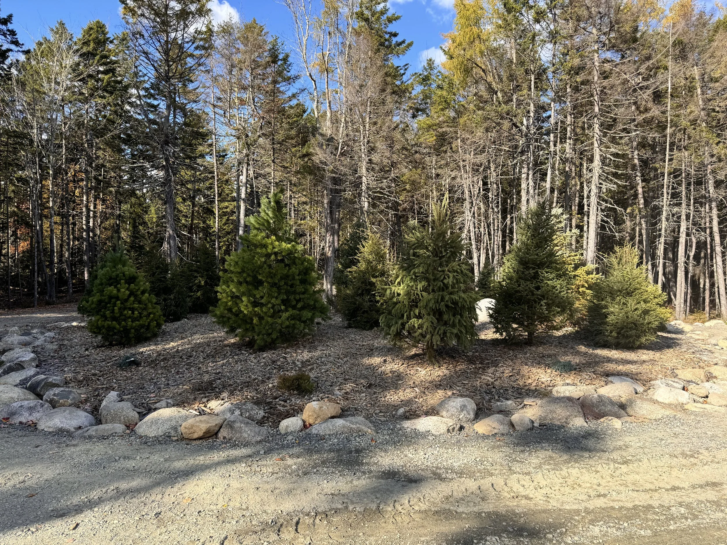 Coggins Farm Tree Planting